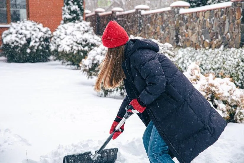 Eco-friendly Tips for Quickly Clearing Snow from a Driveway