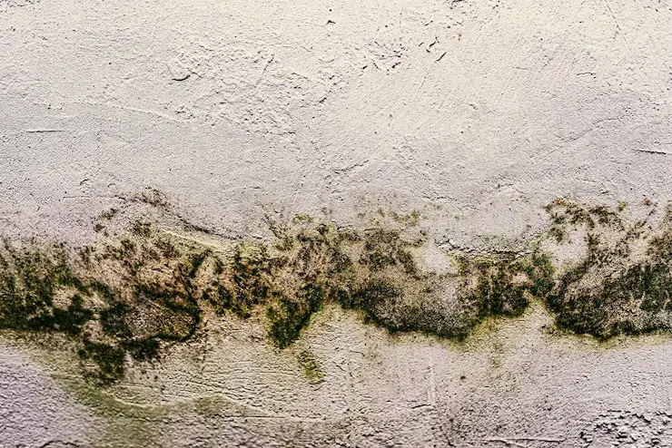 Moisture-Related Foundation Damage