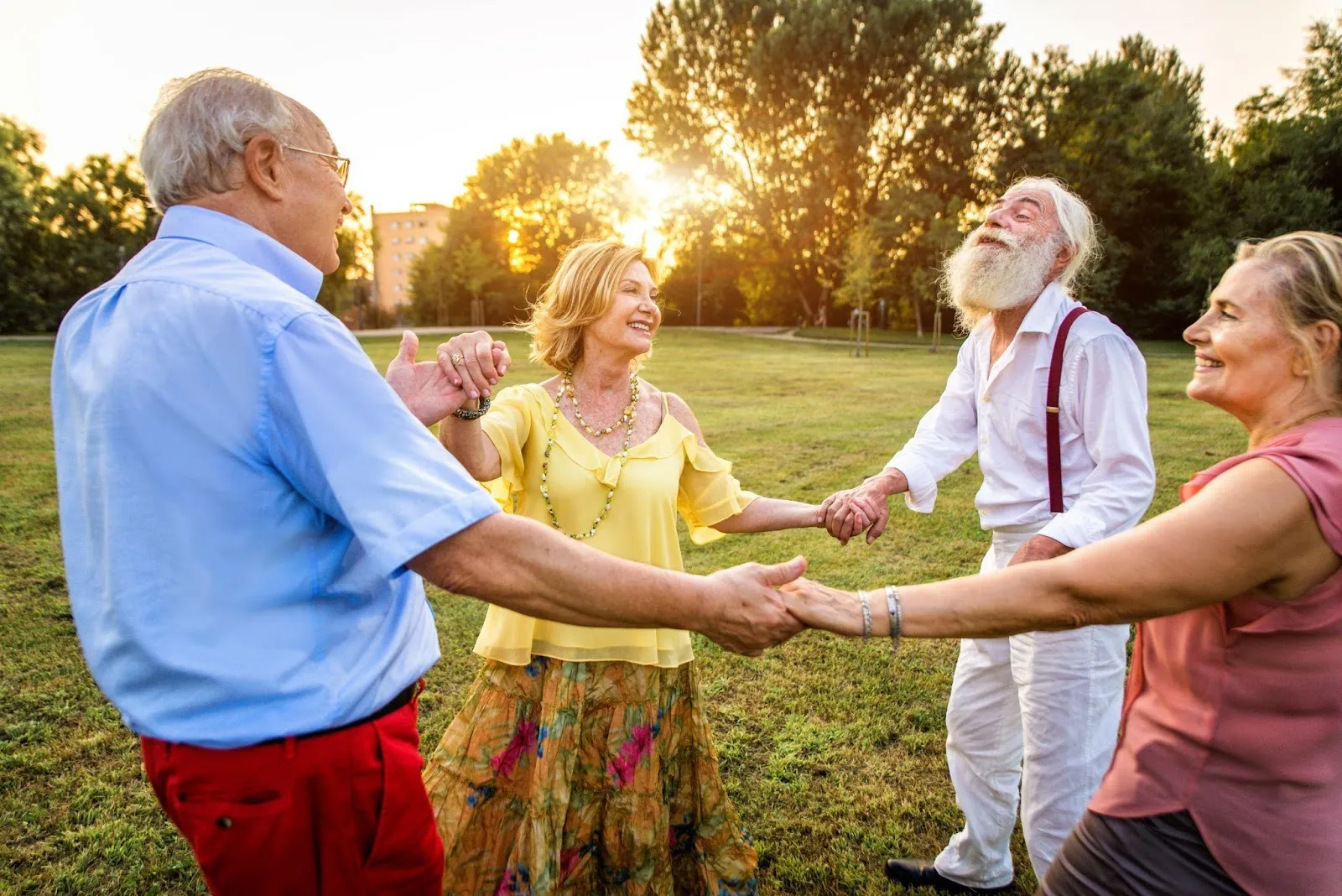 What Are The 4 Factors Of Successful Aging?