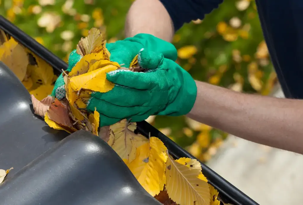 Get gutter cleaning services in Milton
