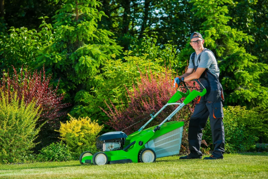 Get Professional Yard Clean up & Lawn Care Service in Grimsby